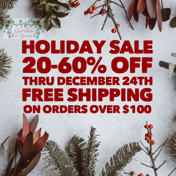 Holiday Sale