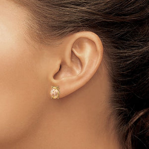 14k two tone lady bug earrings