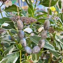 Load image into Gallery viewer, Gold filled labradorite necklace